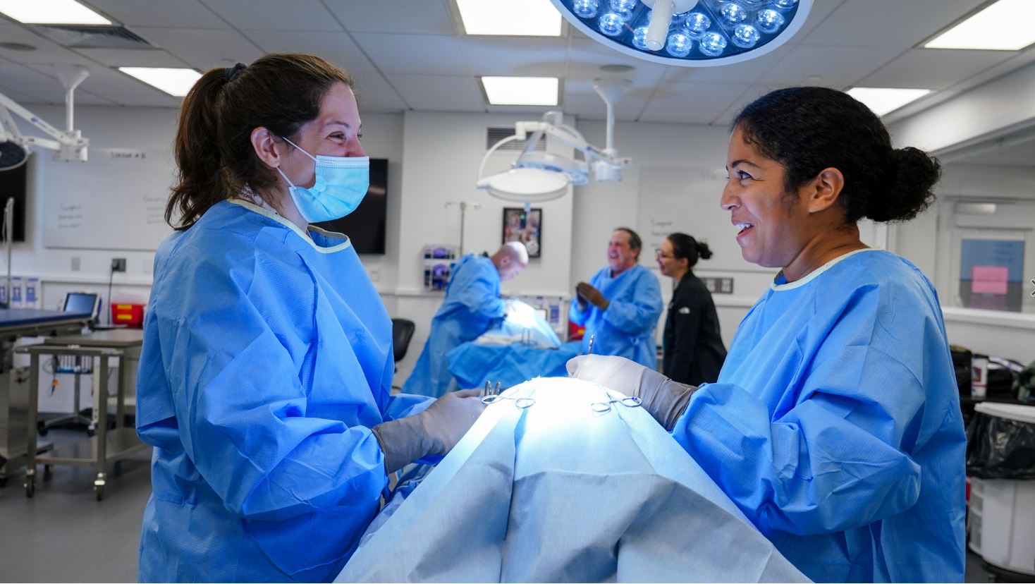 Educators coaches Veterinary student through procedure