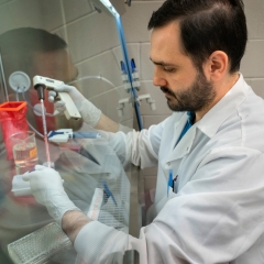 a male scientist working in a biosafety cabinet