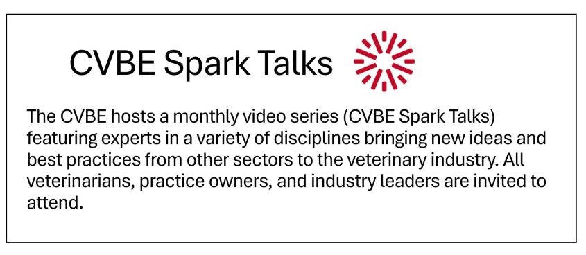 CVBE Spark Talk flier